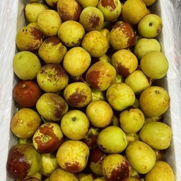 พุทราช็อคโกแลต 2 กิโลกรัมต่อ1 กล่อง