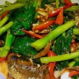 ครัวเจ้โปรด