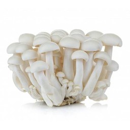 เห็ดชิเมจิขาว  3 ชิ้น