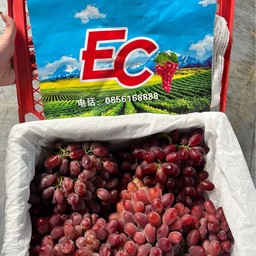 องุ่นไร้เมล็ดคิมสัน 4-5 กิโลต่อตะกร้า