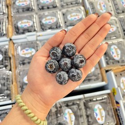 บลูเบอร์รี่จัมโบ้ถาดฟ้า 12 แพ็ค/ถาด