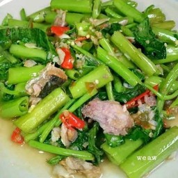 ผักบุ้งไฟแดง