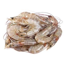 กุ้ง 1 ตัวใหญ่