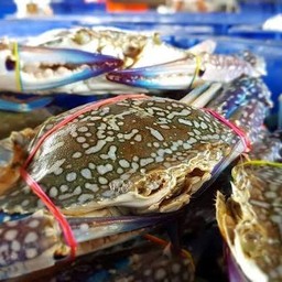 เพิ่มปูม้ากลาง