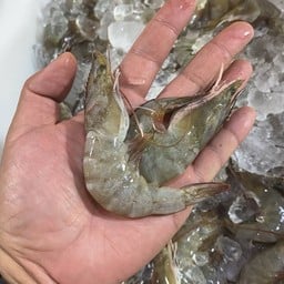 กุ้งขาวสดๆ ปริมาณครึ่กิโล