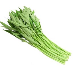 ผักบุ้ง 5 ต้น