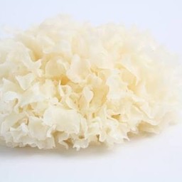 เห็ดหูหนูขาว 1 ชิ้น