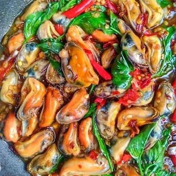 หอยแมงภู่ผัดใบโหระพา ราดข้าว