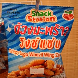 ด้วงมะพร้าววิงซ์แซ่บ