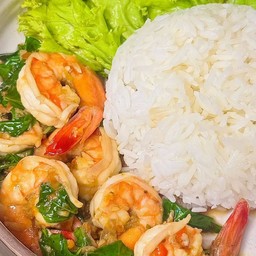 ข้าวราดกุ้งผัดใบโหรพา