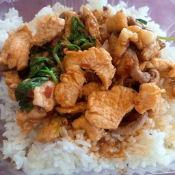 ผัดกระเพาไก่ชิ้นราดข้าว