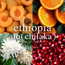 Ethiopia Alo (Chilaka)