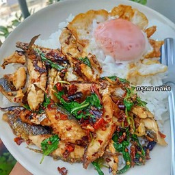 ข้าว กะเพรา ปลาทูแกะ