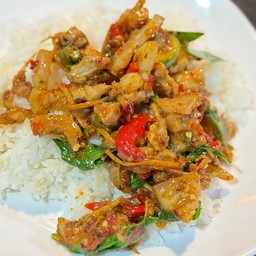 ผัดเผ็ดหมูป่าราดข้าว