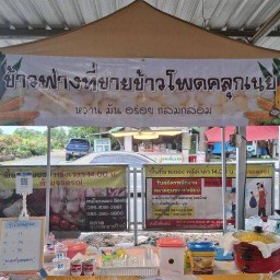 ข้าวฟ่างที่ขายข้าวโพดคลุกเนย ข้าวฟ่างที่ขายข้าวโพดคลุกเนย