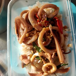 ข้าวกะเพราปลาหมึก+ไข่ดาว