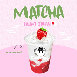 มัทฉะพรีเมี่ยม Catfeine Matcha Premium ปักธงชัย