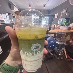 มัจฉะลาเต้