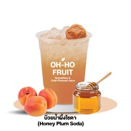 บ๊วยน้ำผึ้งโซดา (Plum Honey Soda)