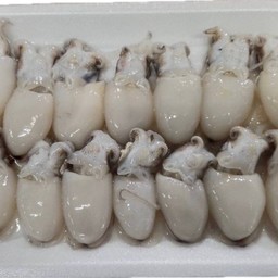 ปลาหมึก