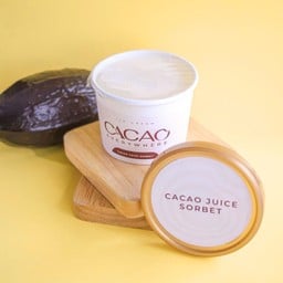 Ice Cream Cacao Juice Sorbet