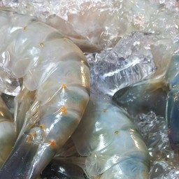 ย่างหอม กุ้งแม่น้ำเผาสงขลา