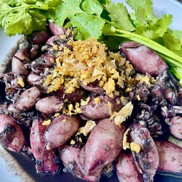 หมึกผัดน้ำดำเป็นกับข้าว