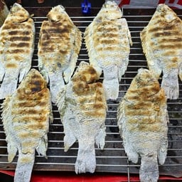 ปลาเผาเกลือ บอยนครศรีฯ เปิดบริการเวลา15.00น-23.00นมีปลานิลปลากะพงปลาทับทิม