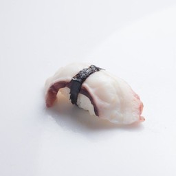 ปลาหมึกยักษ์