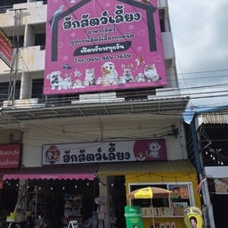 ฮักคาเฟ่