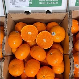 ส้มแมนดาลินหวานฉ่ำ