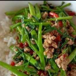 ตามสั่งต้นปาล์ม