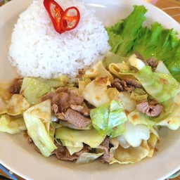 ผัดกระหล่ำปลีหมู+ไข่ดาว