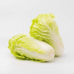 ผักกาดขาว