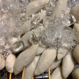 ปลายาว