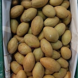 ละมุด 1 กิโลกรัม