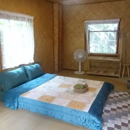 ขอบคุณรูปภาพจาก facebook หลงป่าโฮมสเตย์ บ้านป่าเหมี้ยง ลำปาง /สำหรับลงข้อมูลวงใน