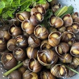 หอยนาลวกจิ้ม 500 กรัม + น้ำจิ้มซีฟู้ด2