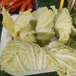 ผัดกาดขาว