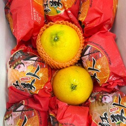 ส้มเยลลี่