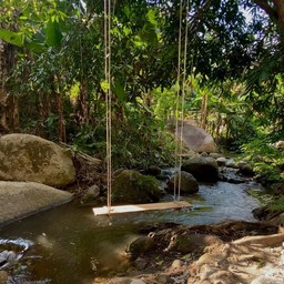 ขอบคุณรูปภาพจาก facebook ณ อิงธารโฮมสเตย์ - ป่าเหมี้ยง / สำหรับลงข้อมูลวงใน