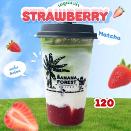 matcha สตอเบอรรี