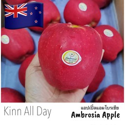 Ambrosia Apple XL แอมโบเซีย