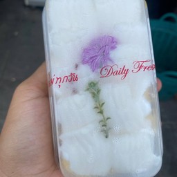 เค้กมะพร้าวอ่อน