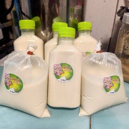 น้ำเต้าหู้&ชาของอัญญา