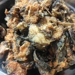 ตามสั่งแล้วแต่จะทำ