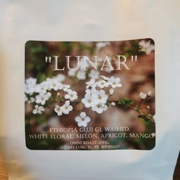 Ethiopia fuji GI (wash process)