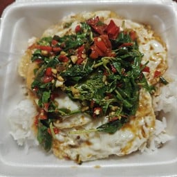 ผักกระเพราไข่ดาว ราดข้าว