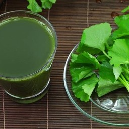 Master cof น้ำใบบัวบกคั้นสดเข้มข้น ศรีภูมิ