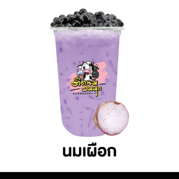 นมเผือก